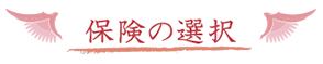 保険の選択【国産ブランド米10kg分】